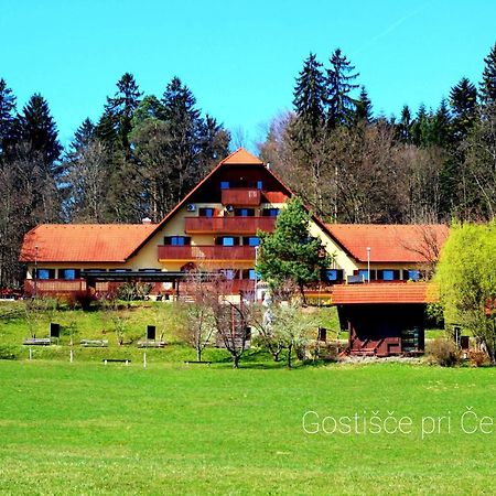 Guesthouse Pri Cebelici Lukovica pri Domžalah Εξωτερικό φωτογραφία