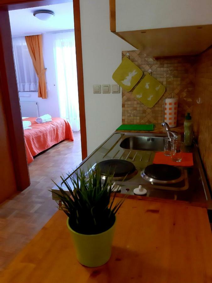 Guesthouse Pri Cebelici Lukovica pri Domžalah Εξωτερικό φωτογραφία